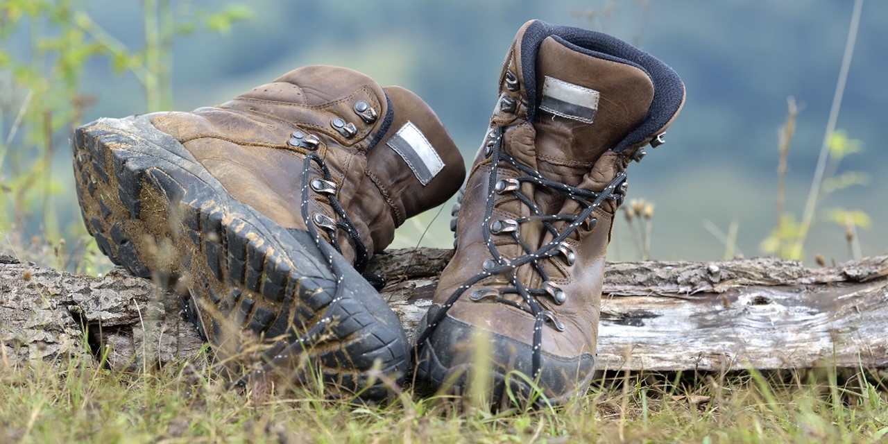 Wandelschoenen